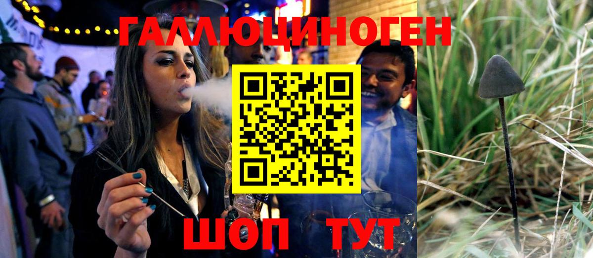 Галлюциногенные грибы Cubensis Фролово